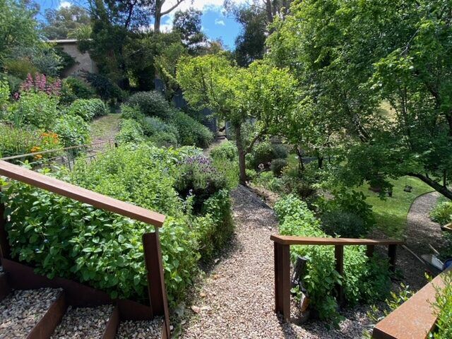 A gravel path winding down through herbs and flowering plants