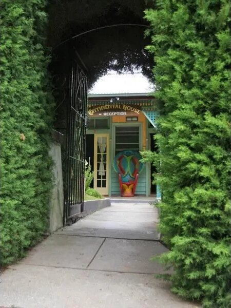 The garden path through the hedge to the front door