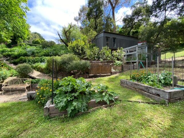 Raised vegetable beds and a garden bench on the lawn